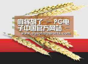 麻将胡了 - PG电子中国官方网站 - PGSoft