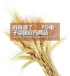 麻将胡了 - PG电子中国官方网站 - PGSoft