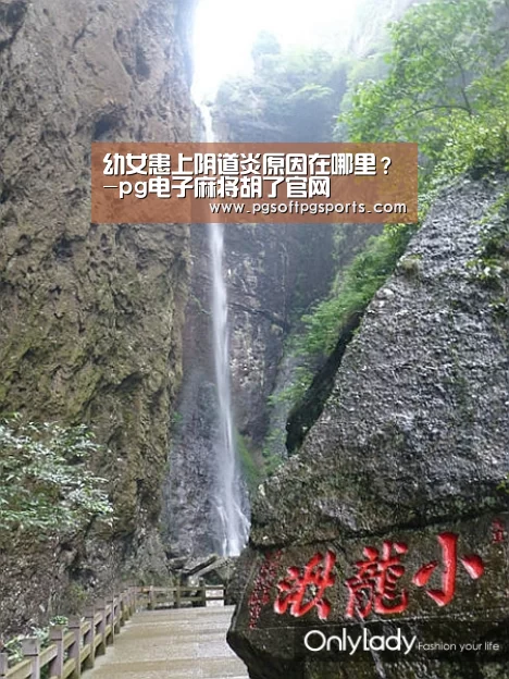 幼女患上阴道炎原因在哪里?-pg电子麻将胡了官网(图1) pg电子麻将胡了官网