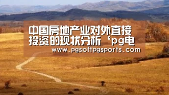 中国房地产业对外直接投资的现状分析‘pg电子麻将胡了’(图3) 中国房地产业对外直接投资的现状分析‘pg电子麻将胡了’(图3)