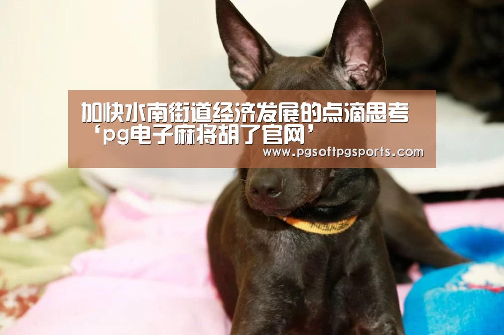 pg电子麻将胡了